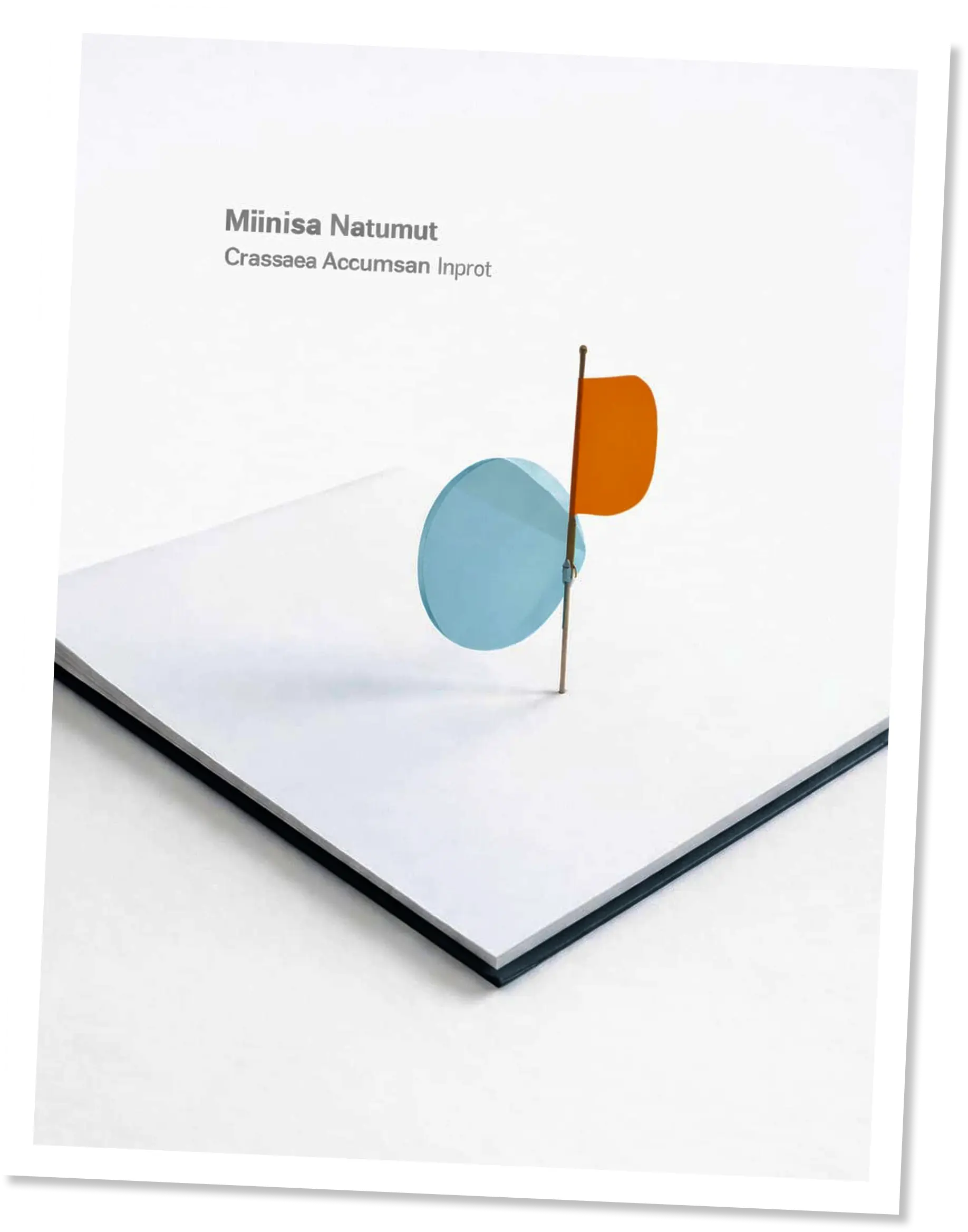 Detailed Report Preview